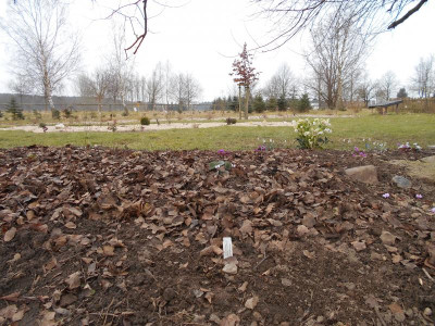 DSCN1405.JPG