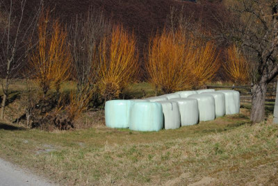 märz 014.jpg