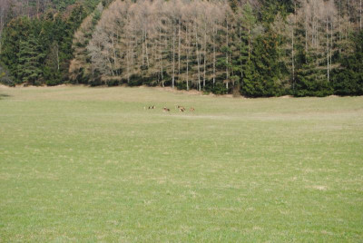 märz 033.jpg