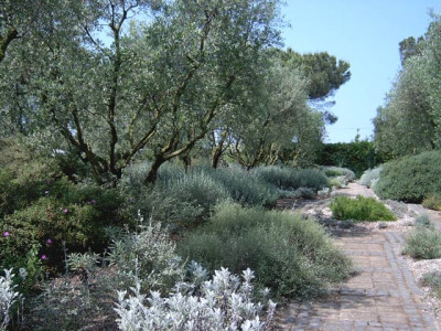 Landriana-2.jpg