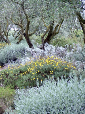 Landriana-29.jpg