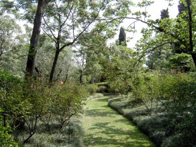 Landriana-3.jpg