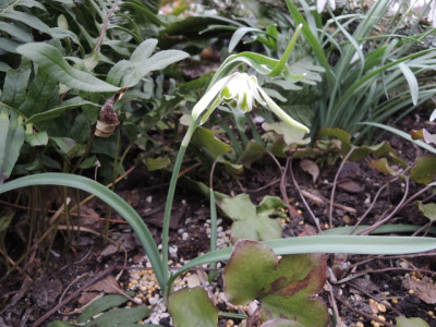 DSCN9558_1269.JPG