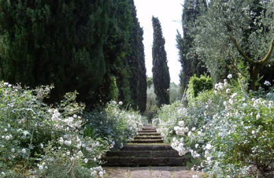 Landriana-4a.jpg