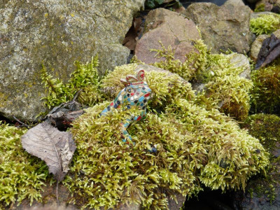 2016-03-12 Gartenimpressionen 1.jpg
