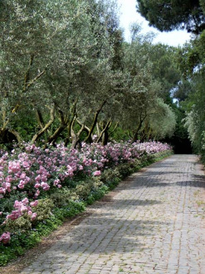 Landriana-27-c.jpg