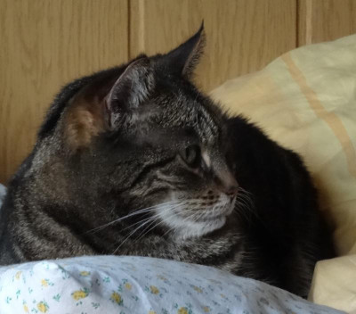 liese07.jpg