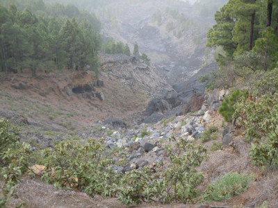 La Palma 2016 019.JPG