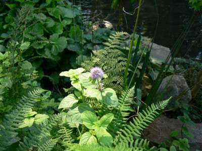 P1010753_Small.JPG