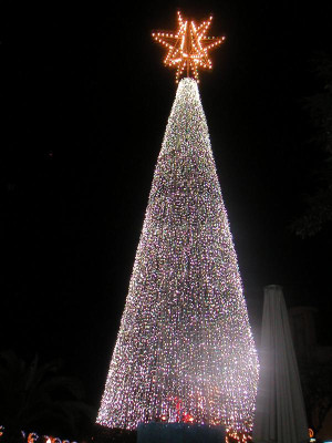Madeira  2009 005.jpg