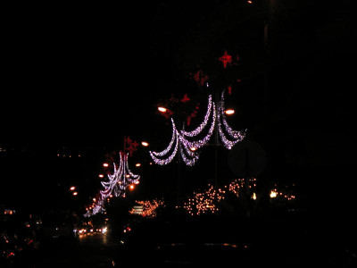 Madeira  2009 006.jpg