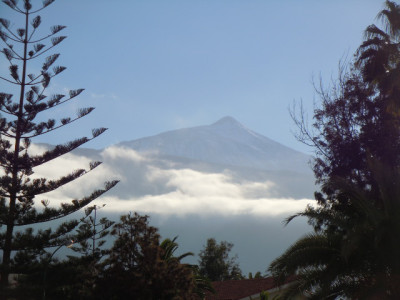 Teneriffa 2015 012.JPG