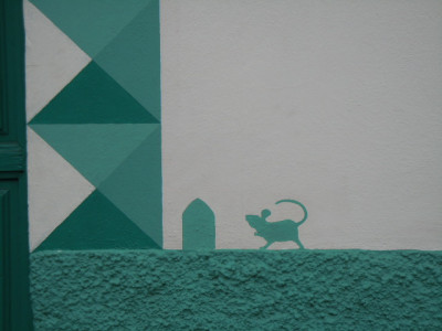 Teneriffa 2015 021.JPG