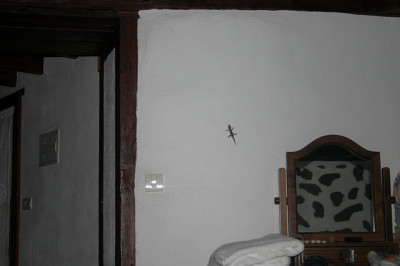 Casa Azul3808.jpg