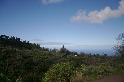 La Palma 5508.jpg