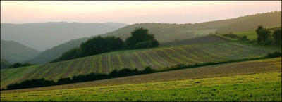 Feldansichten_8_04-09-2006_Variante-Artemisia.jpg