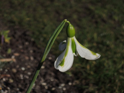 DSCN9601_1273.JPG