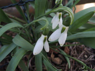 DSCN9608_1277.JPG