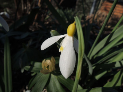 DSCN9579_1270.JPG