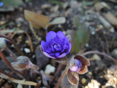 DSCN9576_1271.JPG