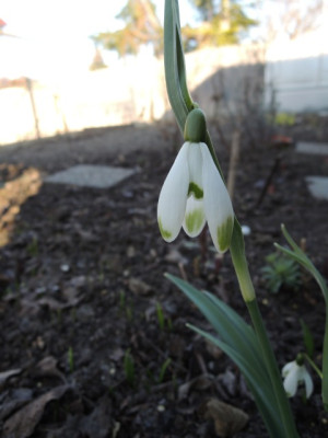 DSCN9610_1278.JPG