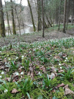 06032016 Dürre Ager Reichenthalheim.jpg