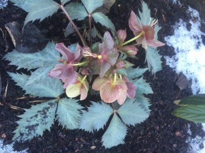 Image 16.03.16 at 17.07.jpg