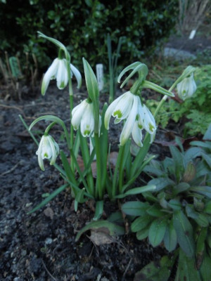 DSCN3658.JPG
