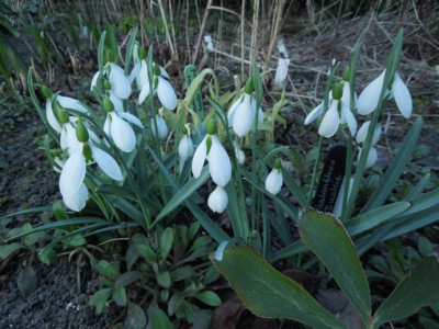 DSCN3660.JPG