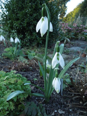 DSCN3662.JPG
