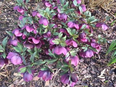 Image 16.03.16 at 20.49.jpg