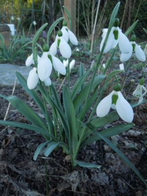 DSCN3666.JPG
