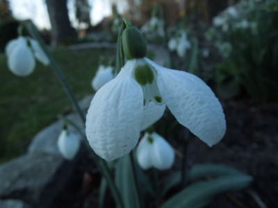 DSCN3669.JPG