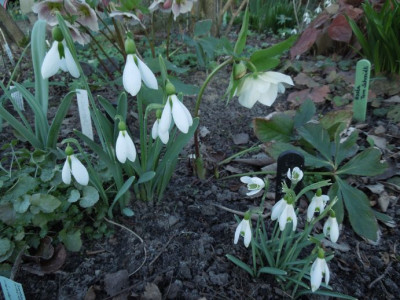 DSCN3677.JPG
