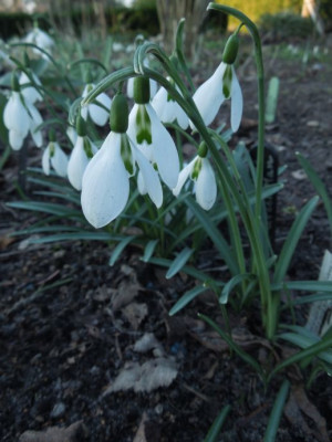 DSCN3682.JPG