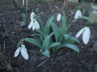 DSCN3683.JPG