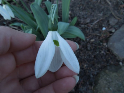 DSCN3686.JPG