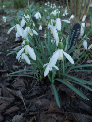 DSCN3691.JPG