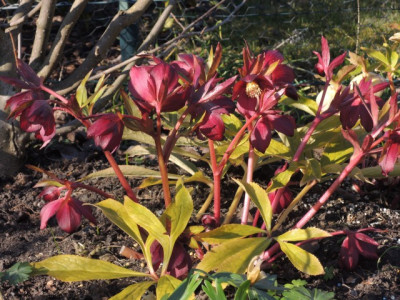 DSCN9593_1279.JPG