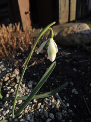 DSCN9635_1284.JPG