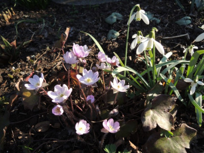 DSCN9629_1282.JPG