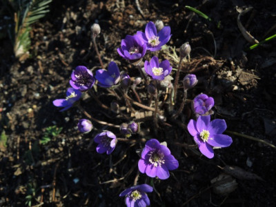 DSCN9631_1283.JPG