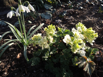 DSCN9628_1281.JPG
