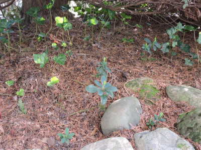 DSCN3171.JPG
