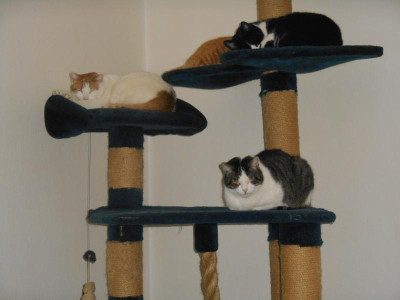 DSCN0910.JPG
