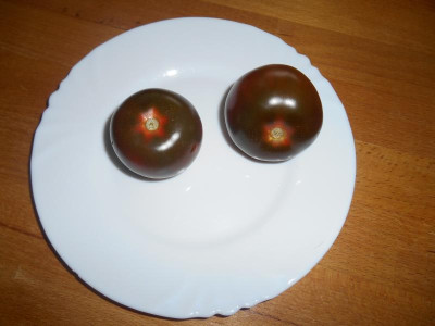 DSCN0913.JPG