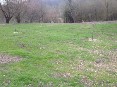 loewenweide_18_03_2016.JPG