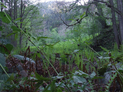 trk_arip06.jpg
