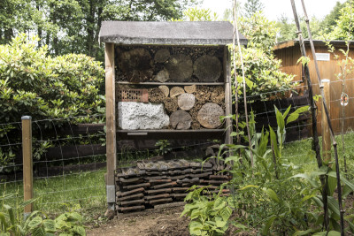 Insektenhotel2015-2_01.jpg