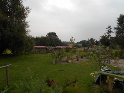 Weide1.JPG